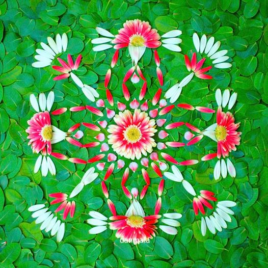 Mandalas con pétalos de flores: Danmalas de Kathy Klein - Mandalas